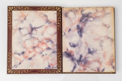 1 vol Francis Bacon Bacon s Essays