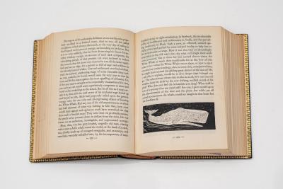 1 vol Herman Melville Moby Dick or the Whale 