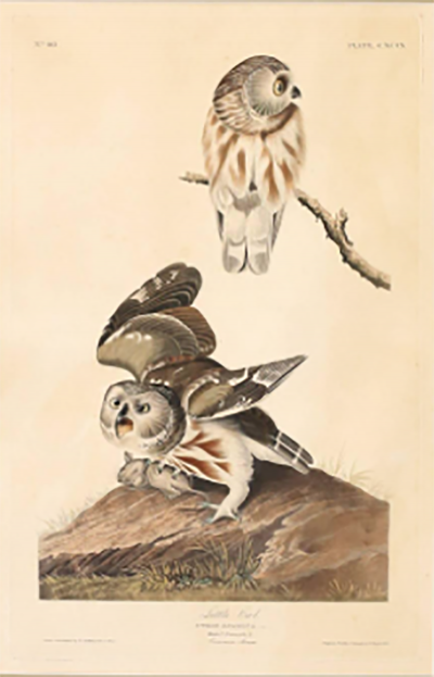 John James Audubon