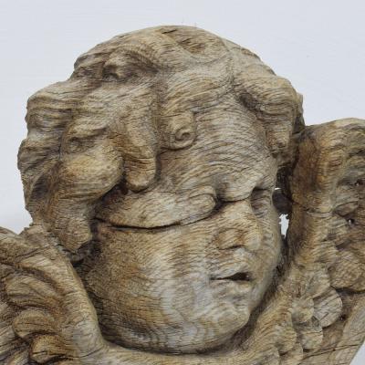 17 18th Century French Baroque Carved Oak Angel Head on Wings