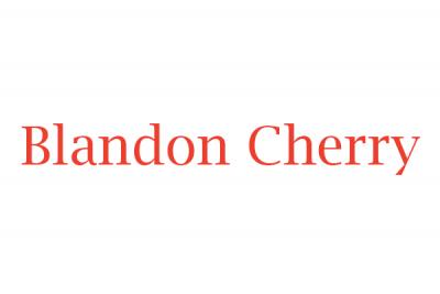 Blandon Cherry Antiques in Manchester 2024