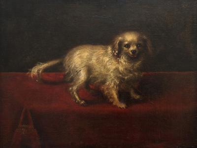 17TH CENTURY PAINTING OF A SMALL WHITE DOG