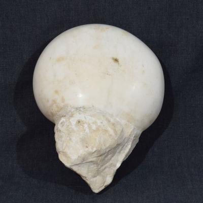 17th 18th Century Italian Baroque Marble Holy Water Font or Stoup