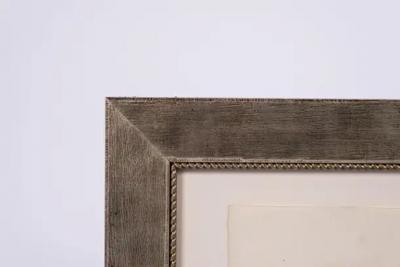 18th Century Copper Engraving by Lister