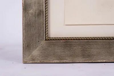 18th Century Copper Engraving by Lister