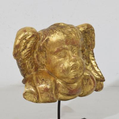 18th Century Italian Baroque Carved Giltwood Angel Head on Wings