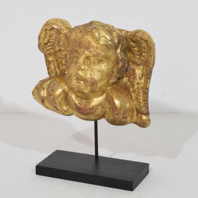 18th Century Italian Baroque Carved Giltwood Angel Head on Wings