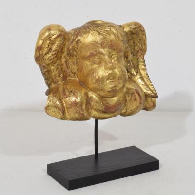 18th Century Italian Baroque Carved Giltwood Angel Head on Wings