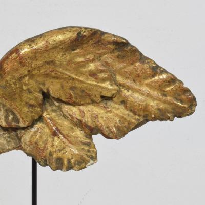 18th Century Italian Carved Giltwood Wing of a Baroque Angel