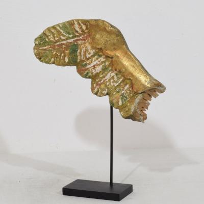 18th Century Italian Carved Wooden Wing of a Baroque Angel
