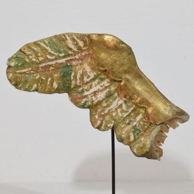 18th Century Italian Carved Wooden Wing of a Baroque Angel
