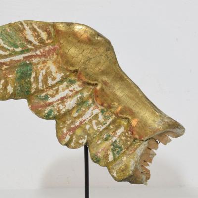 18th Century Italian Carved Wooden Wing of a Baroque Angel