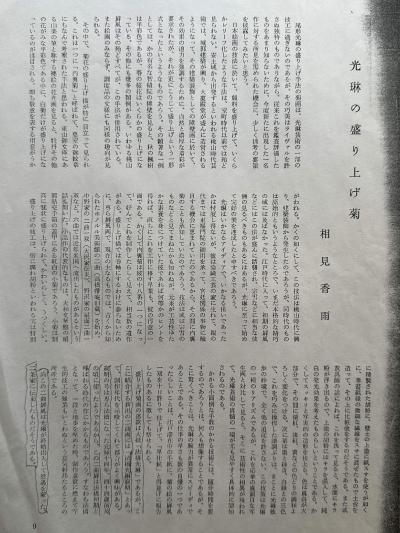 18th Century Japanese Rinpa Screen White Chrysanthemums School of Korin