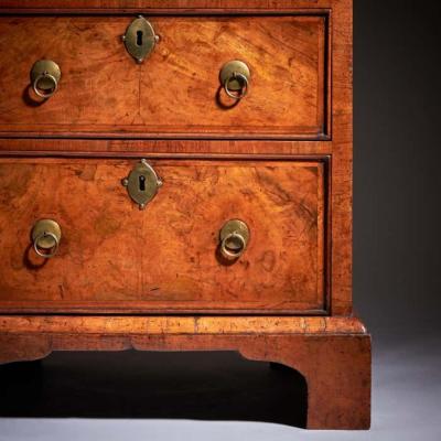 18th Century Queen Anne Burr Walnut Double Dome Bureau Bookcase