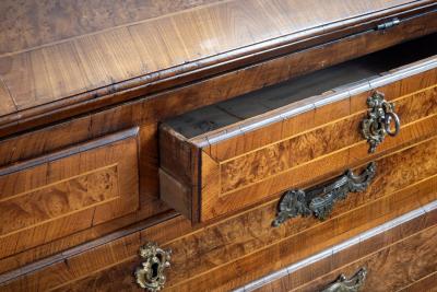 18th Century Rococo Alder Root Secretary Cabinet