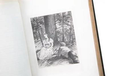 19 Volumes Bret Harte the Writings