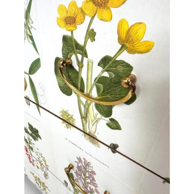 1950s Swedish Dresser With Nordens Flora Illustrations