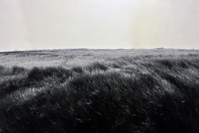 1970s Italian Vintage Black Faux Fur Steel Bed Stool Bench