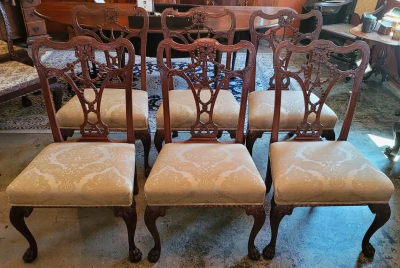 19C Set of 6 Irish Chippendale Style Ribbon Back Dining Chairs