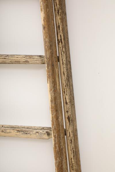 19TH CENTURY FRENCH OAK LADDER