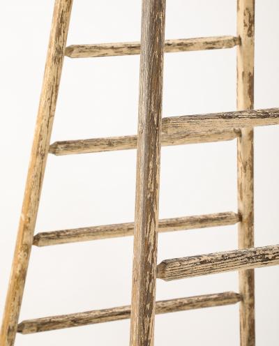 19TH CENTURY FRENCH OAK LADDER