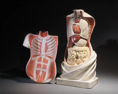 19th C Anatomical Didactic Model of a Torso with Removable Organs developed
