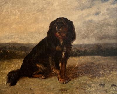19th Century Belgian Oil Painting of Spaniel unsigned