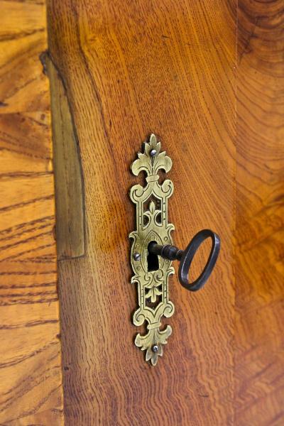 19th Century Biedemeier Cabinets Pair Ashwood with Inlay Works CZ ca 1860