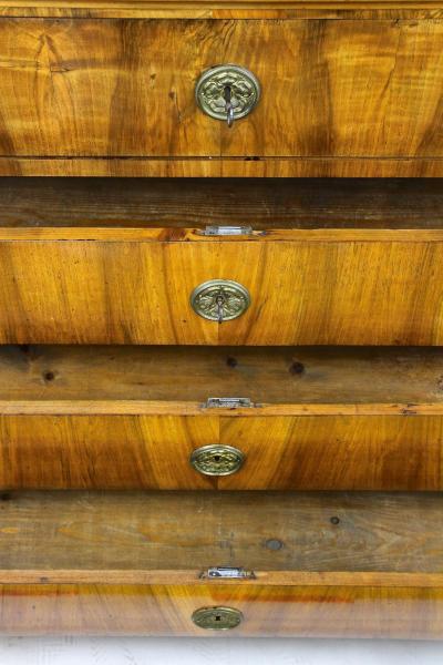 19th Century Biedermeier Chest Of Drawers Secretary Desk Austria ca 1830