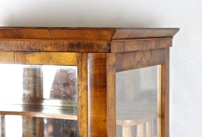 19th Century Biedermeier Display Cabinet Vitrine Nutwood Austria circa 1840