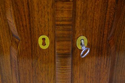 19th Century Biedermeier Nutwood Commode Trumeau Austria circa 1845