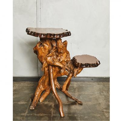 19th Century Chinese Root Table