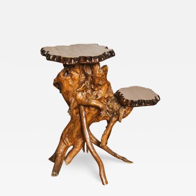 19th Century Chinese Root Table