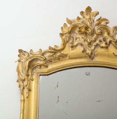 19th Century French Carved Gilded Mirror