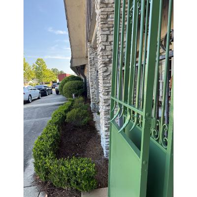 19th Century French Garden Gate with New Powdercoat