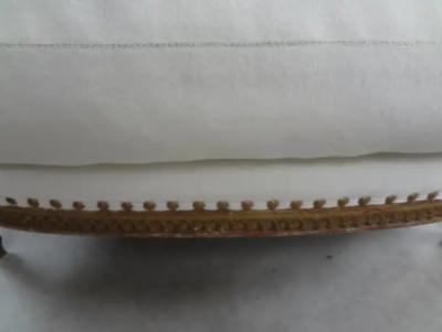 19th Century French Louis XVI Style Giltwood Marquise or Bergere