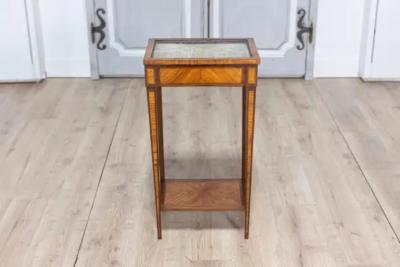 19th Century French Showcase Table