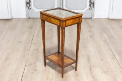 19th Century French Showcase Table