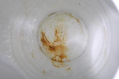 19th Century German Pair Gilt Painted Urns