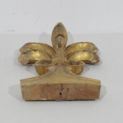 19th Century Italian Hand Carved Giltwood Gothic Style Ornament Fragment