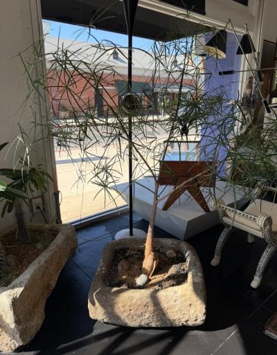 19th Century Limestone Planter