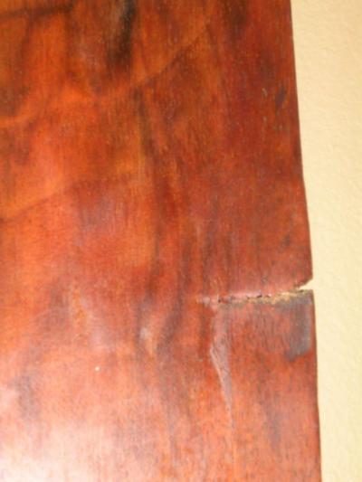 19th Century Northern European Neoclassical Style Pier Mirror