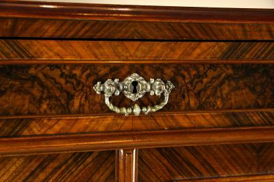 19th Century Nutwood Half Cabinet Nutwood Burl Austria circa 1880