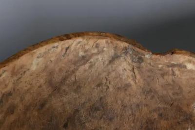 19th Century Swedish Root Bowl