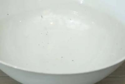 19th Century White Porcelain Bowl