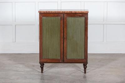 19thC English Regency Pine Cabinet