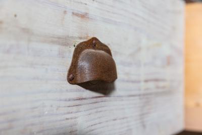 19thC Monumental Dry Scraped French Bank of Pine Drawers