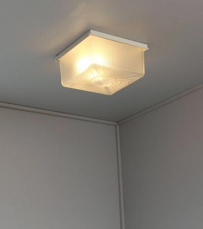 2 French Art Deco Textured Glass Flush Mounts with a Painted Metal Frame