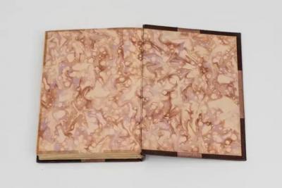 2 Volumes C H Collins Baker Ely The Stuart Portrait Painters