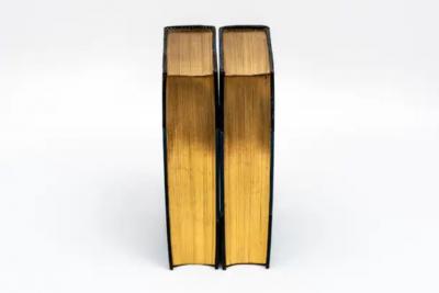 2 Volumes Edward Dowden The Life of Percy Bysshe Shelley 